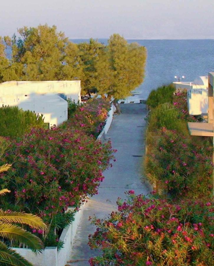 Located By The Sea One Beachfront Private Captain Lazaros Pool Villa With Loft In 750Sqm Spacious Private Plot-Jacuzzi-Sunrelax-Furnished Terace-Gazebo-Private Parking,Sleep 3 Adults And 2 Children, Just Steps From The Black Beach-Seaview Períssa Extérieur photo